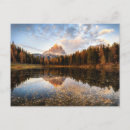 Search for tre postcards Landscape