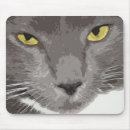 Search for nose photography Cat
