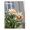 Search for cute notebooks Design