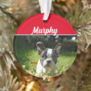 Search for boston terrier holiday christmas decor Pets