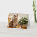 Search for british shorthair cards Cat lover