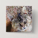 Search for tabby badges Pets