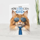 Search for norwegian forest cat Dad