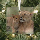 Search for lion christmas tree decorations Maasai mara national reserve