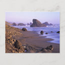 Search for jamie postcards Judy wild