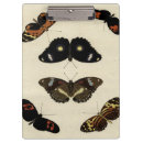 Search for colourful clipboards Butterfly