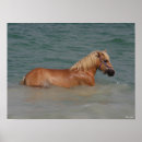 Search for haflinger art Bob langrish