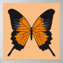 Search for vector butterfly posters Nature
