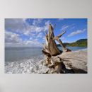 Search for driftwood posters Waves