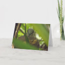 Search for turtle doves cards Bird