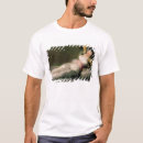 Search for goya tshirts Jose