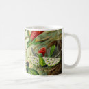 Search for haeckel mugs Hummingbird