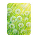 Search for dandelions magnets Blowing