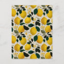 Search for vintage fruit pattern postcards Citrus