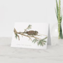 Search for cute chameleon postcards Animal