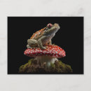 Search for core postcards Mushroom