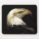 Search for wild eagles mousepads America