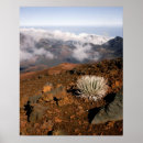Search for pele art Haleakala