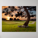 Search for course posters California