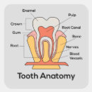 Search for chart stickers Care