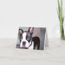 Search for boston terrier birthday cards Pets