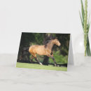 Search for buckskin cards Breed
