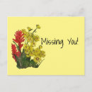 Search for fireweed postcards Floral