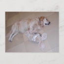 Search for easter love postcards Funny
