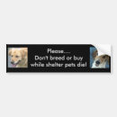 Search for dog rescue bumper stickers Labrador