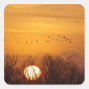 Search for sun rise stickers Bird