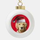 Search for golden retriever christmas tree decorations Santa claus