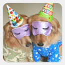 Search for pyjama stickers Birthday