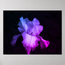 Search for irie posters Purple