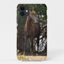 Search for morgans Horse