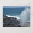 Search for horn postcards Hawaii