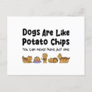 Search for yorkie puppy postcards Animal