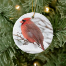 Search for male christmas tree decorations Birds
