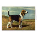Search for beagling postcards Hunting