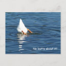 Search for quack postcards Funny