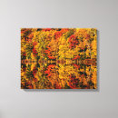 Search for hampshire canvas prints Foliage