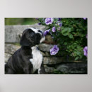 Search for pam posters Panting