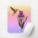 Search for hummingbirds electronics Mother