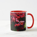 Search for fuschia mugs Magenta