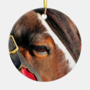 Search for clydesdale horse christmas tree decorations Clydesdales