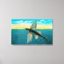 Search for flying fish postcards Collection