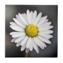 Search for yellow daisy tiles Elegant