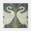 Search for iris magnets White