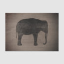 Search for asian tissue paper Elephant