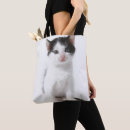 Search for innocent bags Baby animals