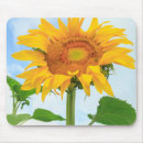 Search for danita delimont mousepads Garden